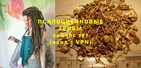 прущие крисы Богородицк